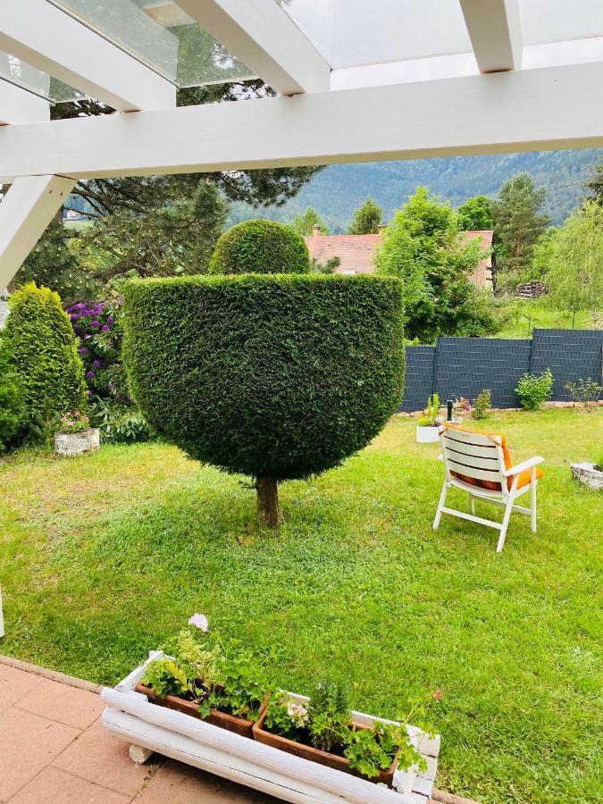 Apartament L’hippocampe Wangenbourg-Engenthal Zewnętrze zdjęcie