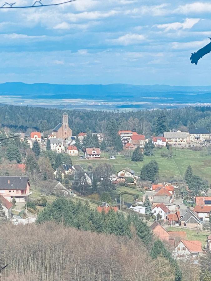 Apartament L’hippocampe Wangenbourg-Engenthal Zewnętrze zdjęcie